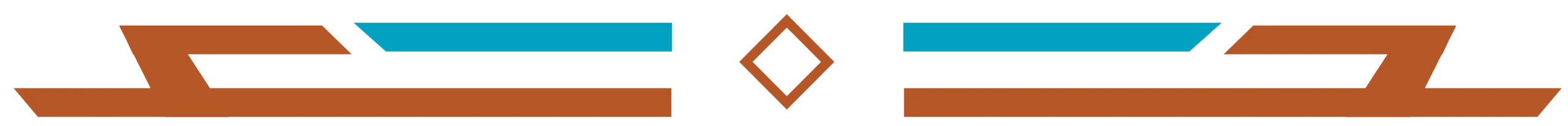 Sports and Leadership Academy